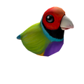 Finch Friend