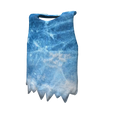 Frost Guard's Cloak
