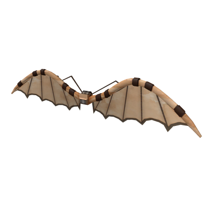 The Wings of Imagination