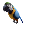Macaw Shoulder Friend